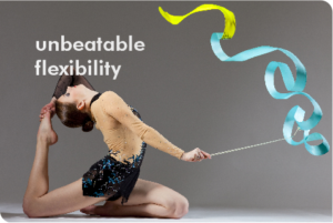 Flexibility2